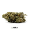 Burmese Kush - Buy Weed Online - Dispensary Near Me Now