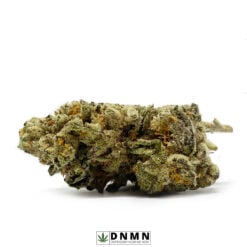 Burmese Kush - Buy Weed Online - Dispensary Near Me Now