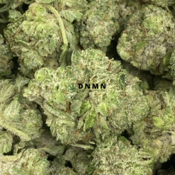 G-Wiz Popcorn - Online Dispensary Canada - Dispensary Near Me Now