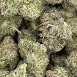 Gelato - Online Dispensary Canada - Dispensary Near Me Now