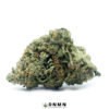 Pink Champagne - Buy Weed Online - Dispensary Near Me Now