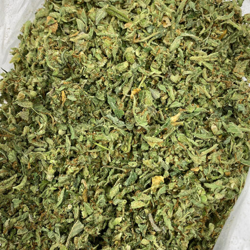 Sour Diesel Shake | Dispensary Near Me | DNMN