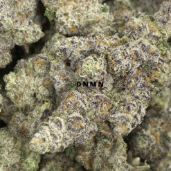 Purple Haze - Online Dispensary Canada - Dispensary Near Me Now