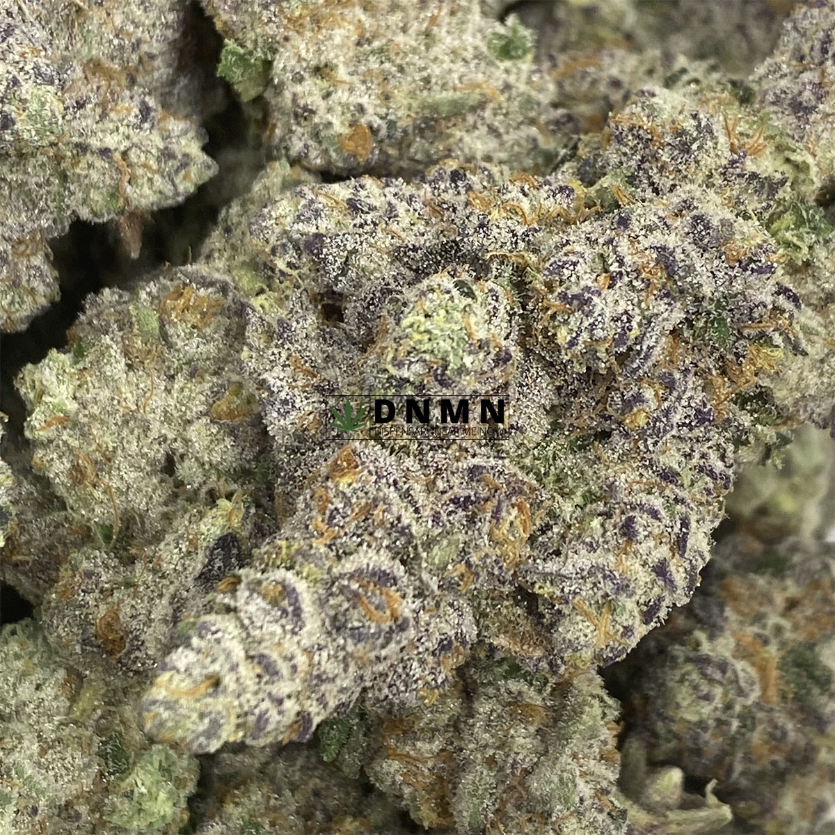 Purple Haze - Online Dispensary Canada - Dispensary Near Me Now