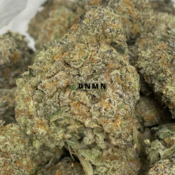 Alien OG - Online Dispensary Canada - Dispensary Near Me Now