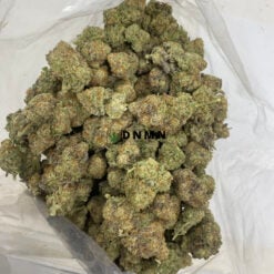 Platinum Girl Scout Cookies - Cheap Weed Canada - Dispensary Near Me Now
