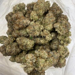Tom Ford Pink Kush - Cheap Weed Canada - Dispensary Near Me Now