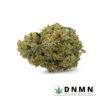 Budget Buds - Holy Grail Kush | Buy Weed Online | Dispensary Near Me