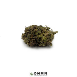 Cat Piss - Buy Weed Online - Dispensary Near Me Now