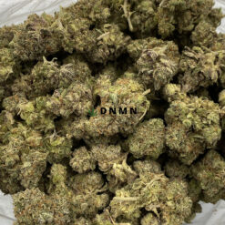 Cat Piss - Cheap Weed Canada - Dispensary Near Me Now