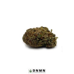 Moby Dick - Buy Weed Online - Dispensary Near Me Now