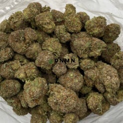 Moby Dick - Cheap Weed Canada - Dispensary Near Me Now
