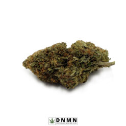 Pink Picasso - Buy Weed Online - Dispensary Near Me Now