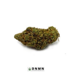 White Rhino - Buy Weed Online - Dispensary Near Me Now