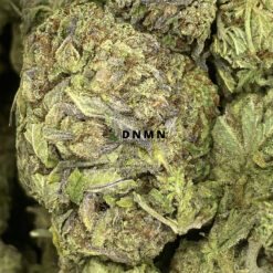 Blueberry Pie - Online Dispensary Canada - Dispensary Near Me Now