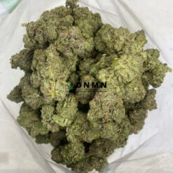 Brownie Scout - Cheap Weed Canada - Dispensary Near Me Now