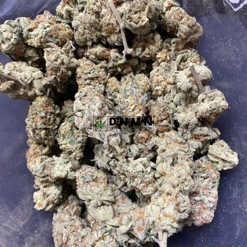 Gorilla Bomb - Cheap Weed Canada - Dispensary Near Me Now