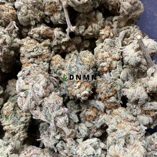 Gorilla Bomb - Online Dispensary Canada - Dispensary Near Me Now