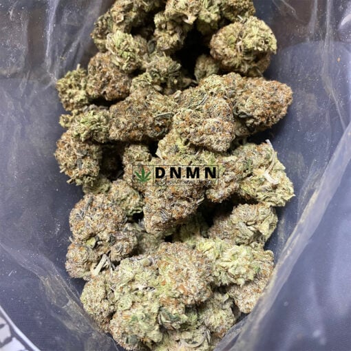 Purple Berry - Cheap Weed Canada - Dispensary Near Me Now