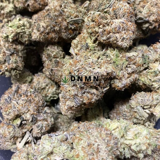 Purple Berry - Online Dispensary Canada - Dispensary Near Me Now