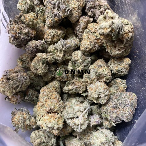 Purple Champagne - Cheap Weed Canada - Dispensary Near Me Now