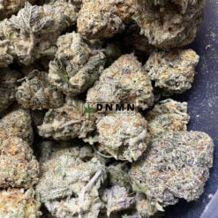Purple Champagne - Online Dispensary Canada - Dispensary Near Me Now