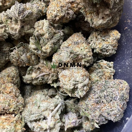 Purple Champagne - Online Dispensary Canada - Dispensary Near Me Now