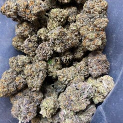 Purple Mazar - Cheap Weed Canada - Dispensary Near Me Now