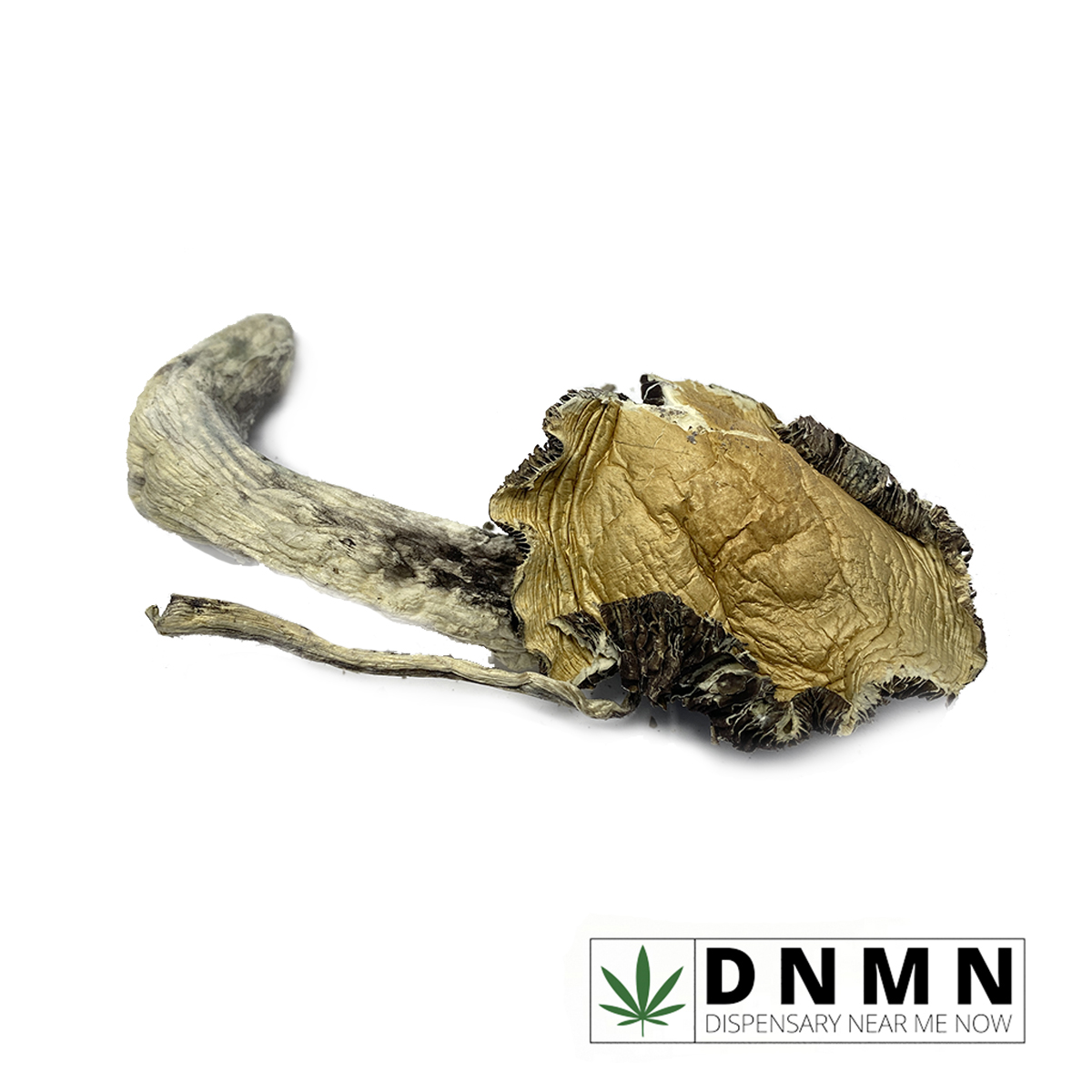 Trinity - Magic Mushrooms