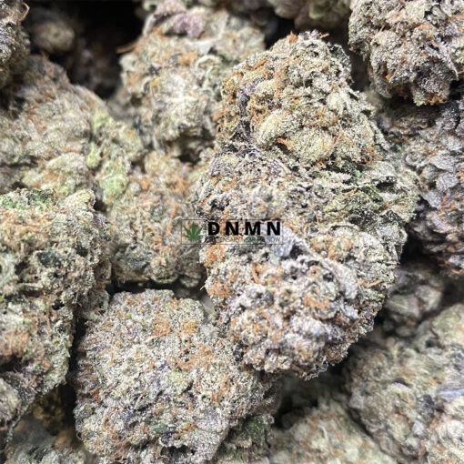 Black Gas - Cheap Weed Canada - Dispensary Near Me Now
