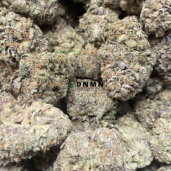 Black Gas - Online Dispensary Canada - Dispensary Near Me Now