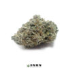 Mandarin Cookies - Buy Weed Online - Dispensary Near Me Now