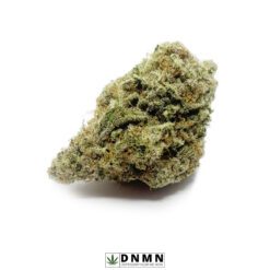 Paco Taco - Buy Weed Online - Dispensary Near Me Now