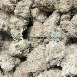 Paco Taco - Cheap Weed Canada - Dispensary Near Me Now