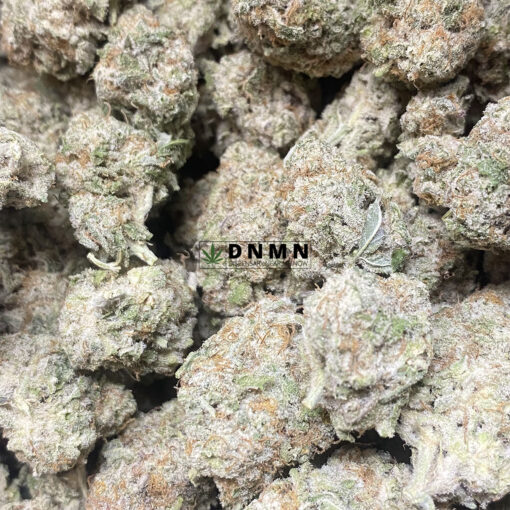Paco Taco - Cheap Weed Canada - Dispensary Near Me Now