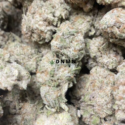 Paco Taco - Online Dispensary Canada - Dispensary Near Me Now