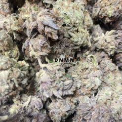 Purple Trainwreck - Online Dispensary Canada - Dispensary Near Me Now