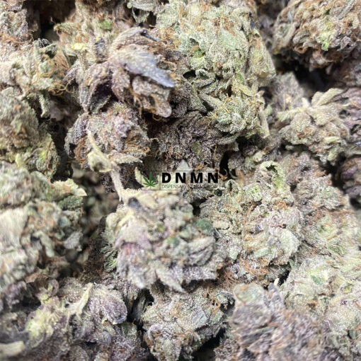 Purple Trainwreck - Online Dispensary Canada - Dispensary Near Me Now