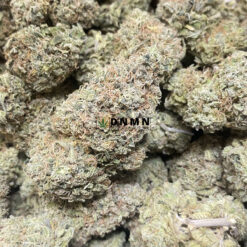 Tangerine - Cheap Weed Canada - Dispensary Near Me Now
