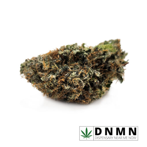 Purple Tuna Kush