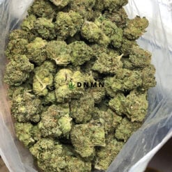 Purple Tuna Kush - Cheap Weed Canada - Dispensary Near Me Now