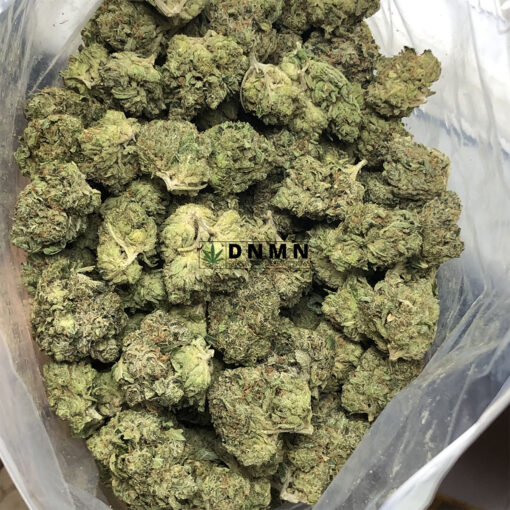 Purple Tuna Kush - Cheap Weed Canada - Dispensary Near Me Now