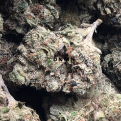Purple Tuna Kush - Online Dispensary Canada - Dispensary Near Me Now
