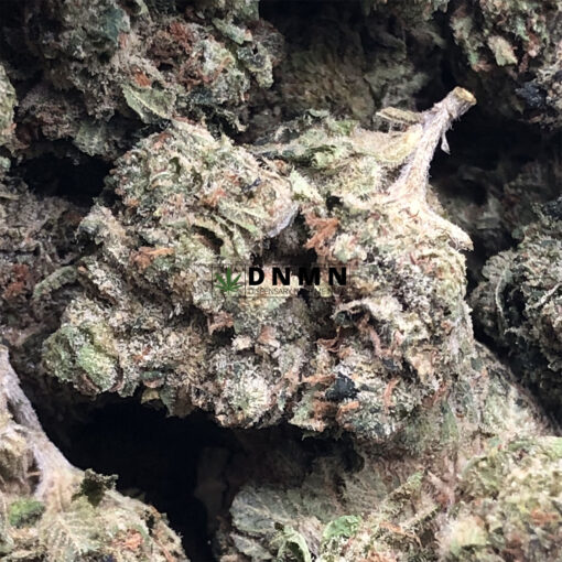 Purple Tuna Kush - Online Dispensary Canada - Dispensary Near Me Now