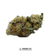 God Bud - Buy Weed Online - Dispensary Near Me Now