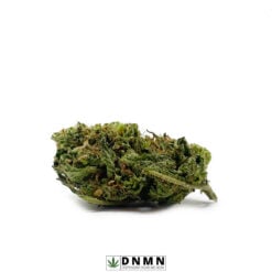 Pink Gas - Buy Weed Online - Dispensary Near Me Now