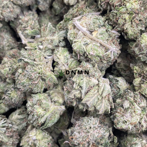 Pink Gas - Online Dispensary Canada - Dispensary Near Me Now