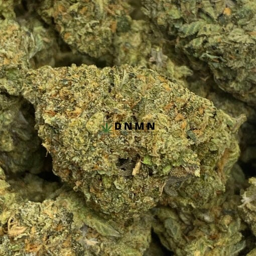 Purple Legend - Online Dispensary Canada - Dispensary Near Me Now