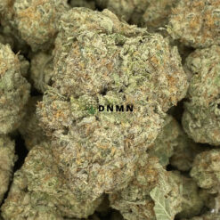 Acapulco Gold - Online Dispensary Canada - Dispensary Near Me Now