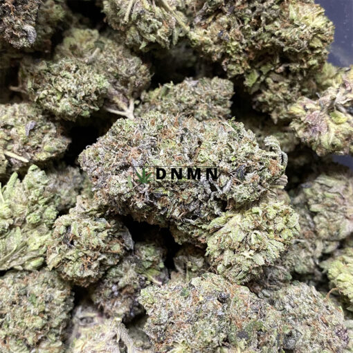 Black Panther - Online Dispensary Canada - Dispensary Near Me Now